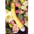 ВИБРАТОР FLOVETTA BY TOYFA CALLA, СИЛИКОН, ЖЕЛТЫЙ, 22 СМ